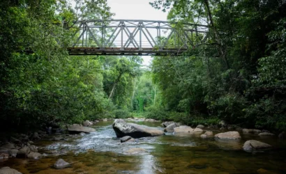 sinharaja forest reserve