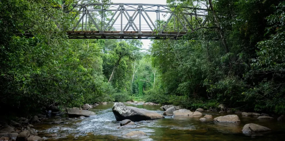 sinharaja forest reserve